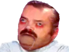 :Risitas_bave: