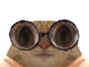 :chat_lunettes_cligne_gros_yeux: