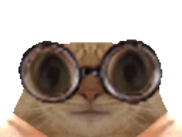 :chat_lunettes_cligne_gros_yeux: