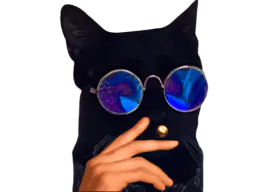 :chat_pret:
