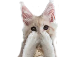 :chat_hihi_dezoom: