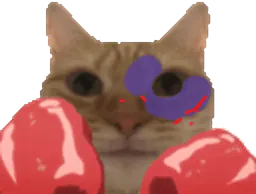 :chat_boxe_gif: