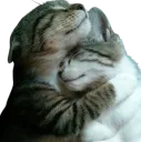 :ChatCalin: