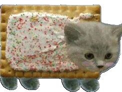 :Chatbiscuit: