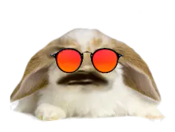 :Lapin_Belier_Lunettes_Rouge:
