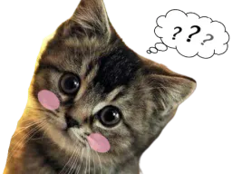 :chaton_question: