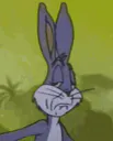 :bugs_bunny_4: