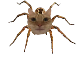 :charaignee: