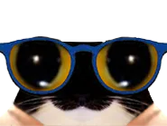 :chat_lunettes_3: