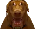 :Teddi-taraxv3: