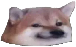 :cheebs: