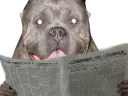 :pit_journal: