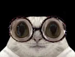 :Chat-Cru7: