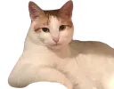 :chatbien:
