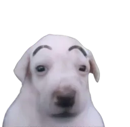 :Purer2: