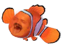 :risitas_nemo: