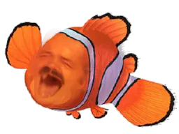 :risitas_nemo: