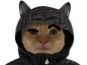 :chathuh: