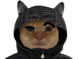 :chathuh: