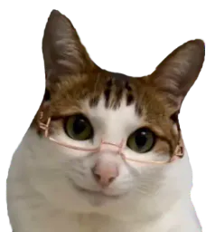 :chat_lunettes_psy: