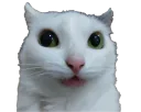 :chat_zieute2:
