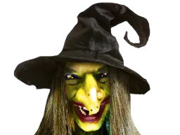 :fdvd: