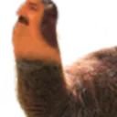 :LamaRisita: