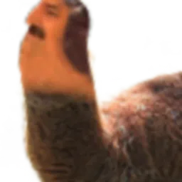 :LamaRisita: