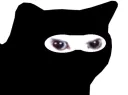 :Chatninjaa: