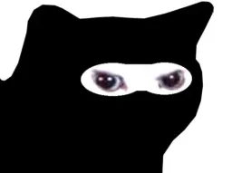 :Chatninjaa: