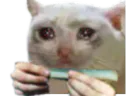 :ChatJoint_: