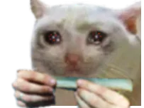 :ChatJoint_: