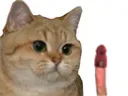 :sodium_bite: