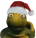 :Tortue: