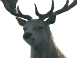 :Cerf_face: