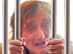 :palmade_prison: