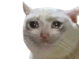 :cat_sad: