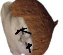 :deadkot7: