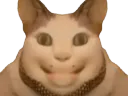 :chat_flippant: