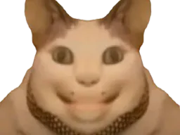 :chat_flippant:
