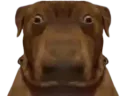 :teddilarge:
