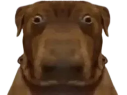 :teddilarge: