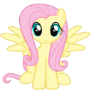 :Flutter: