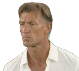 :Renard-regard: