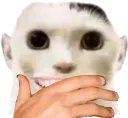 :ChommeMainSourire: