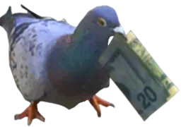 :Pigeon_argent:
