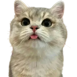 :Chatchat_te_tire_la_langue: