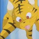 Catseyes