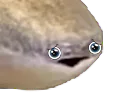 :poissonyeux: