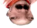 :soleilfildu: